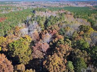 15 Acres of Mixed Timberland in Din : Dewitt : Dinwiddie County : Virginia
