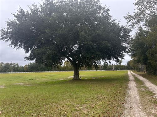 10 Acres Hayfield : Keystone Heights : Clay County : Florida