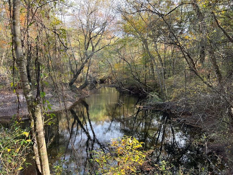 Coalfire Creek Tract A 137 Acres : Reform : Pickens County : Alabama