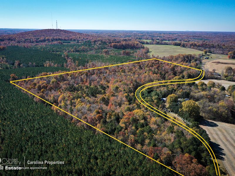 Wooded Land with Road Frontage : Cleveland : Rowan County : North Carolina