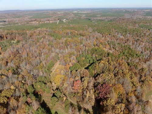 40 Acres of Prime Virginia Land fo : Keeling : Pittsylvania County : Virginia