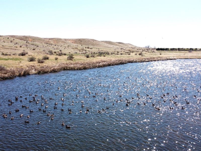 Cedar Creek Rec : Sterling : Logan County : Colorado