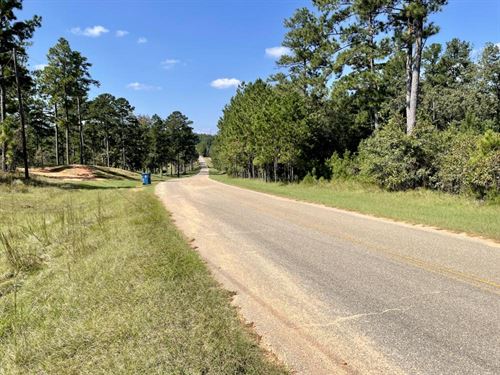 Bridlepath Road Estate Lot Homesite : Jackson : Clarke County : Alabama