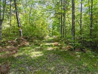 Hazelhurst Acreage : Hazelhurst : Oneida County : Wisconsin