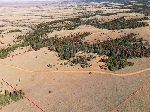 Wilderness Ranch 40 : Red Feather Lakes : Larimer County : Colorado