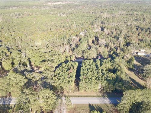 46 Acres Little River Hwy 59 Bal : Little River : Baldwin County : Alabama