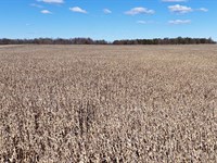 Land Auction, Hillsdale Co, MI : Ransom : Hillsdale County : Michigan