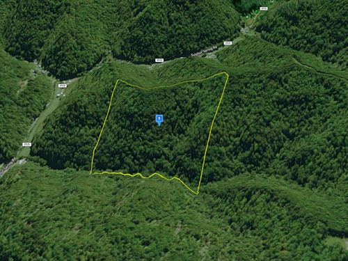48 Acres in Lincoln County WV : Ranger : Lincoln County : West Virginia