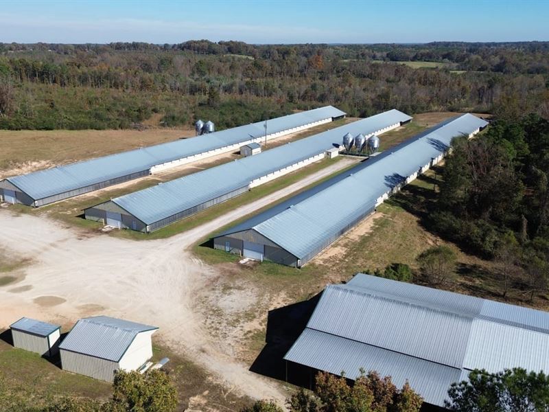 Robinson Broiler Farm : Hackleburg : Marion County : Alabama