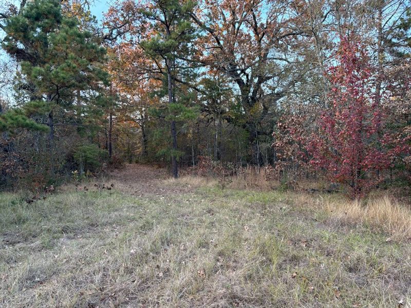 34 Acres of Prime Recreational & Hu : Fort Towson : Pushmataha County : Oklahoma