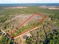 Johns Road Property in Wayne County : Hortense : Wayne County : Georgia