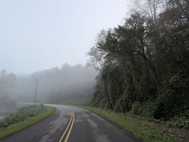 35.6 Acres in Ellijay, GA : Ellijay : Gilmer County : Georgia