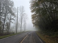 35.6 Acres in Ellijay, GA : Ellijay : Gilmer County : Georgia