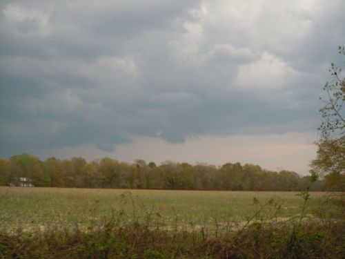 Akins Pond, Will Divide : Statesboro : Bulloch County : Georgia