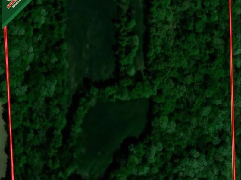 Greentree 40 : Newton : Jasper County : Illinois