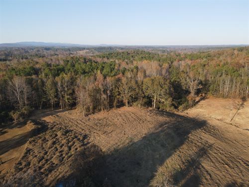 57 Acres, Ashland, AL : Ashland : Clay County : Alabama