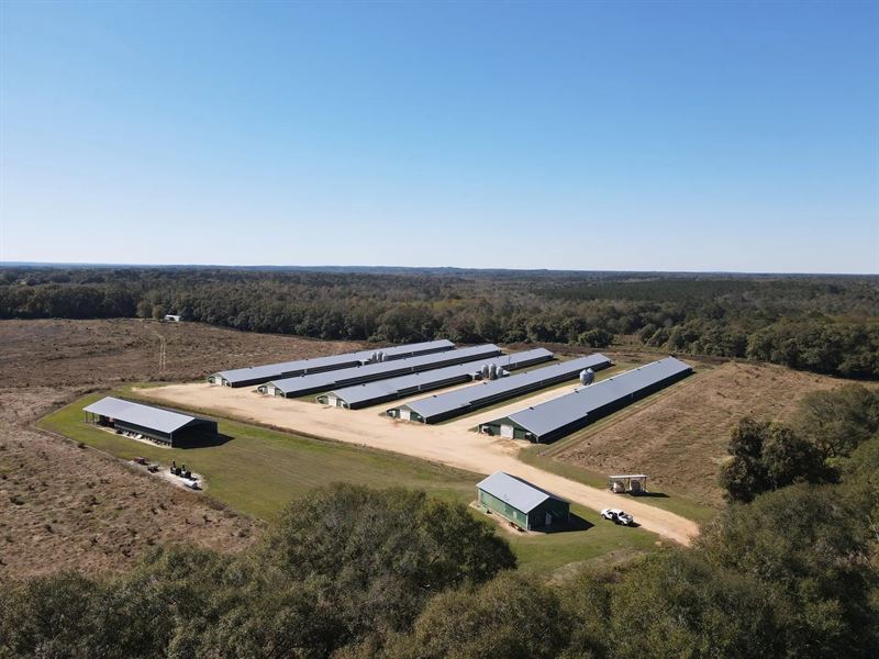 S&S Poultry Farm : Brundidge : Pike County : Alabama