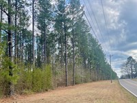 Cole Road Residential Development : Hattiesburg : Lamar County : Mississippi