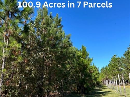 Excellent Recreation and Hunting : Rockledge : Laurens County : Georgia