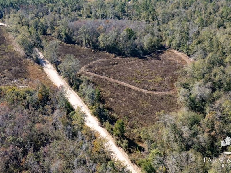 Seay Road West, 10.64 Ac, Jacks : Cottondale : Jackson County : Florida