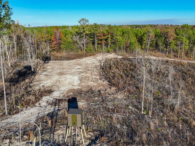 30 Acres in Jacksons Gap Near : Jacksons Gap : Tallapoosa County : Alabama