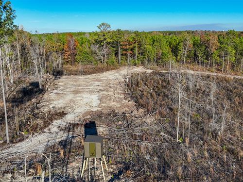 30 Acres in Jacksons Gap Near : Jacksons Gap : Tallapoosa County : Alabama