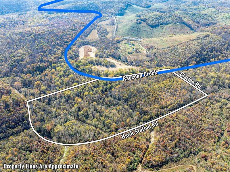 Hawk Station, 35 Acres : Vinton : Vinton County : Ohio