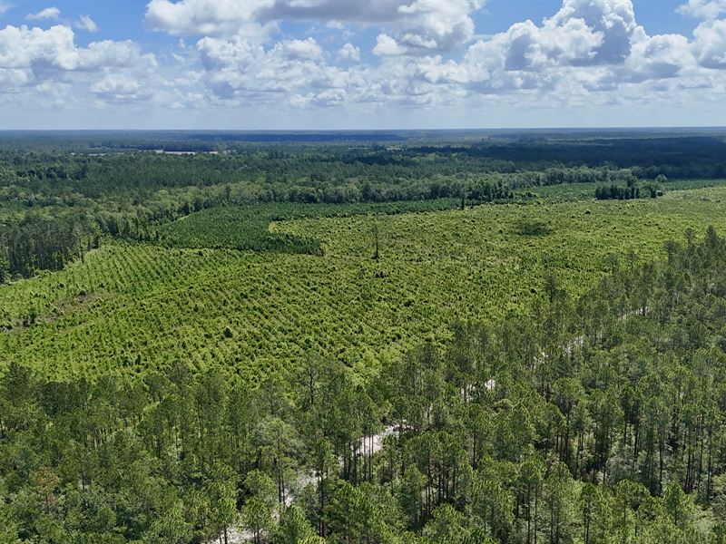 Bennett Mill Pond Retreat : Odum : Wayne County : Georgia