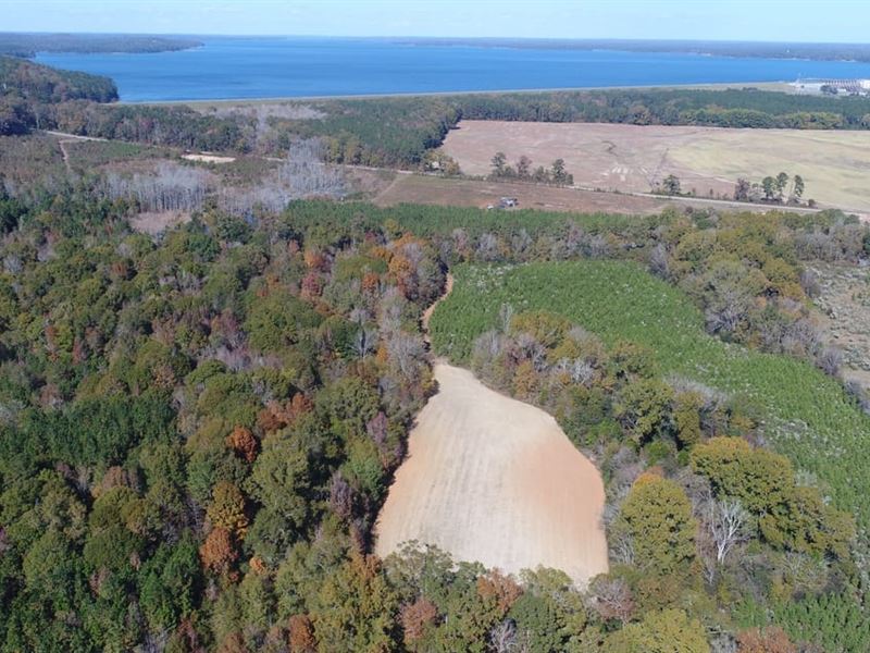 70 Acres Henry Co : Shorterville : Henry County : Alabama