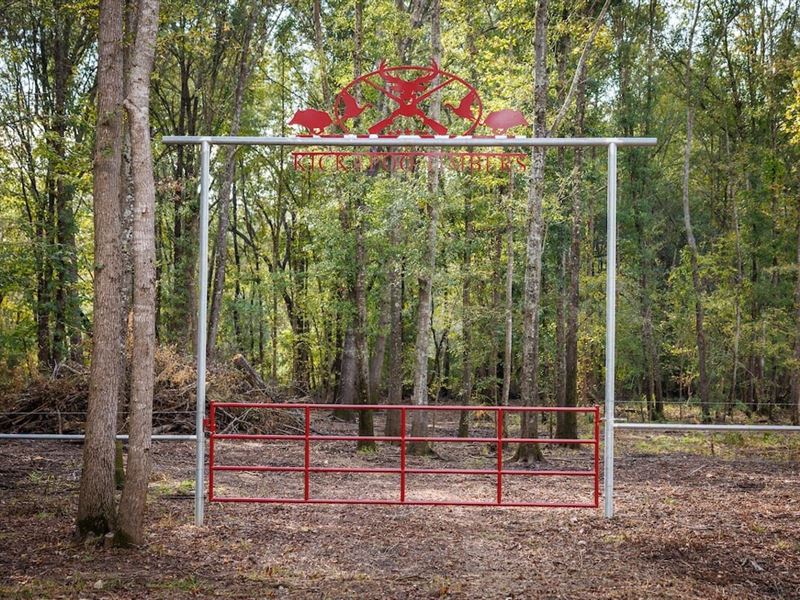 Kickapoo Timbers : Brownsboro : Henderson County : Texas