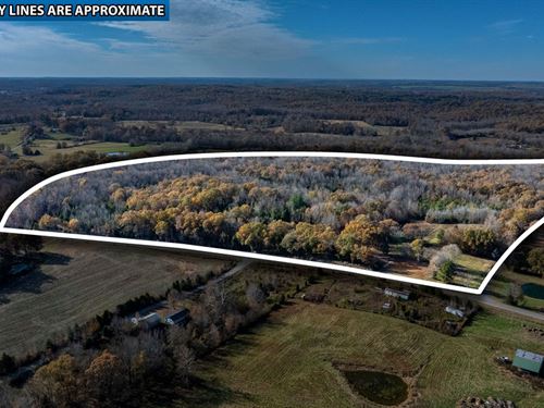 Great Recreational Land : Drakesboro : Muhlenberg County : Kentucky