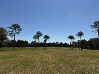 Dungarven Ridge Lot 8, 10 Acres : Micanopy : Marion County : Florida