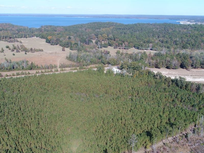 40 Acres Henry Co Rd 46 : Shorterville : Henry County : Alabama