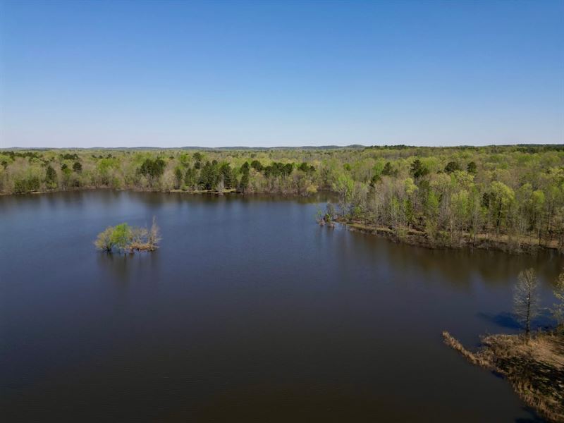 120 Acres, Private Lake & 2 Gorgeou : Little Rock : Pulaski County : Arkansas
