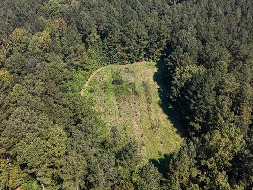 Brushy Creek Tract : Union : South Carolina