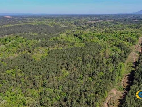 Salacoa Tract : Fairmount : Gordon County : Georgia