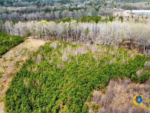 Denmark Industrial Tract : Denmark : Bamberg County : South Carolina