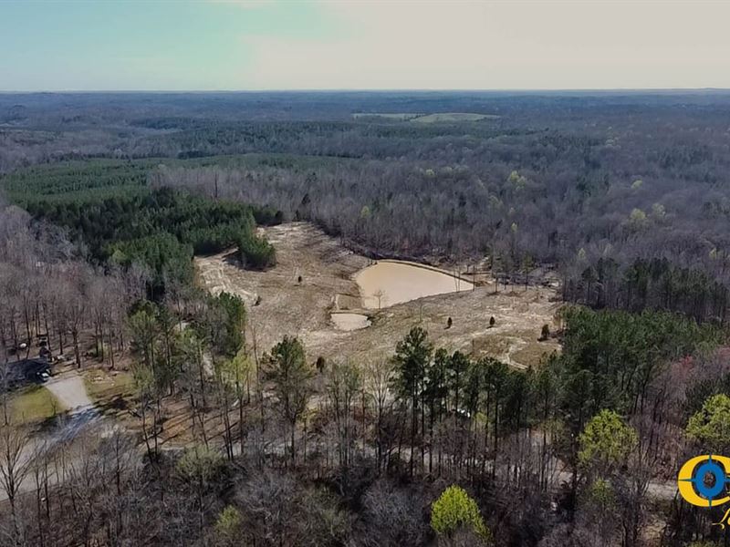 Hillard Branch 1 : Parsons : Decatur County : Tennessee