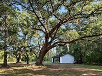 Oakbreeze Farm : Walterboro : Colleton County : South Carolina