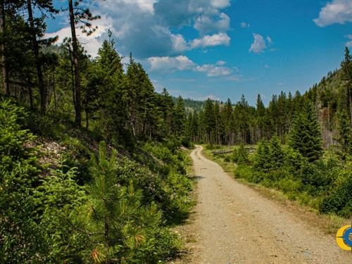 Swamp Creek Hunting Ranch : Plains : Sanders County : Montana