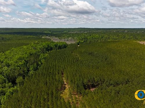 Old Cc Road Tract : Cassatt : Kershaw County : South Carolina