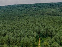 Back Valley Tract 3 : Lyerly : Chattooga County : Georgia