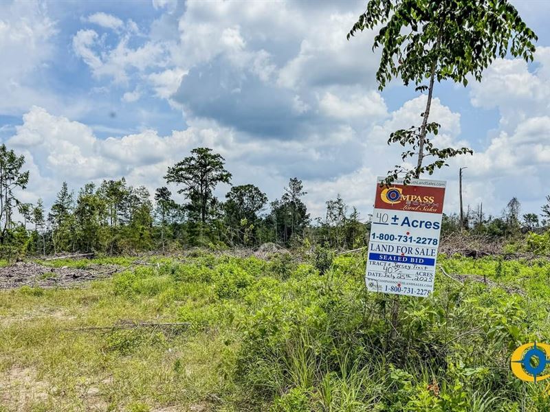 Jersey Tract : Jersey : Bradley County : Arkansas