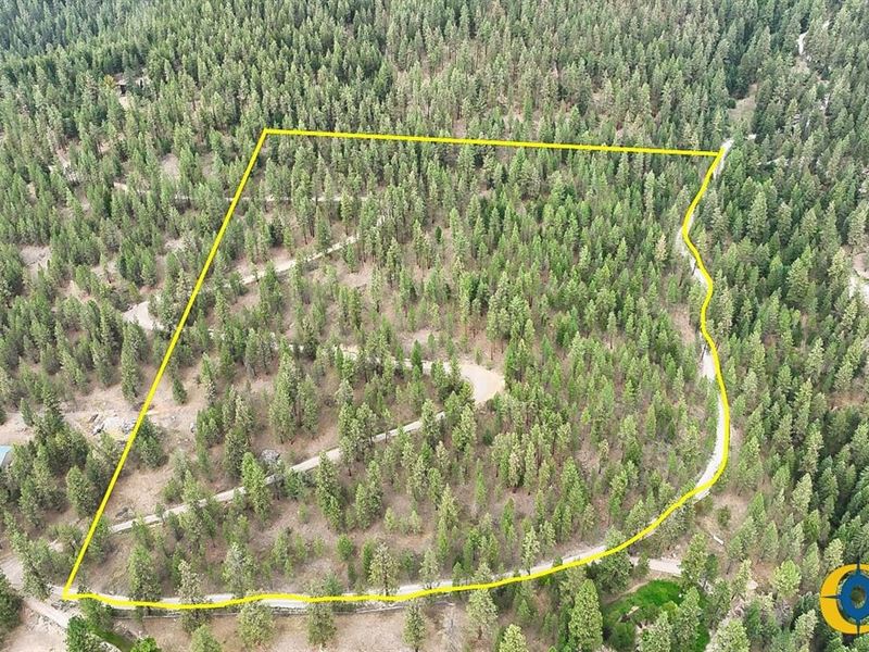 Roman Creek Road : Frenchtown : Missoula County : Montana