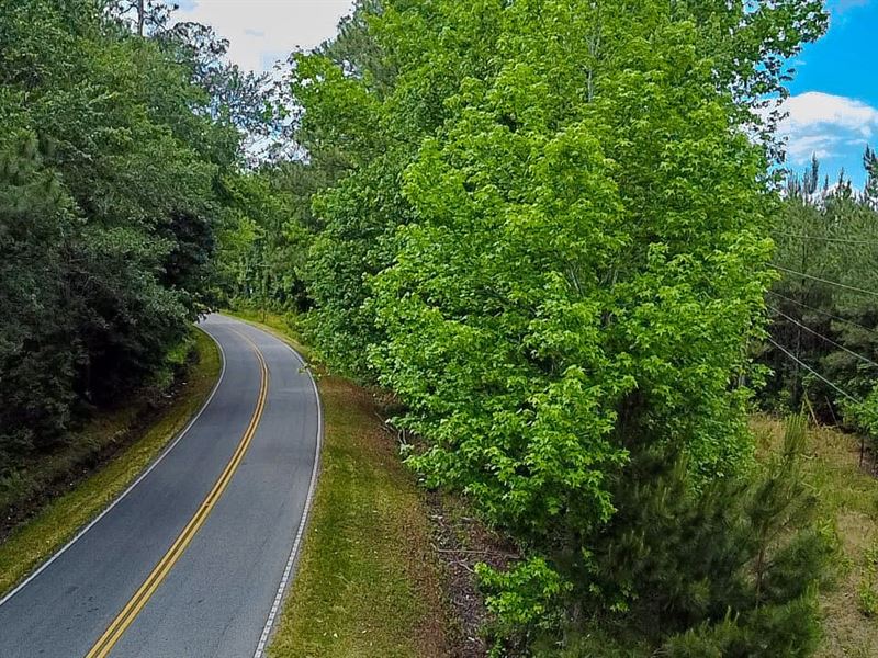 Peurifoy Tract : Walterboro : Colleton County : South Carolina