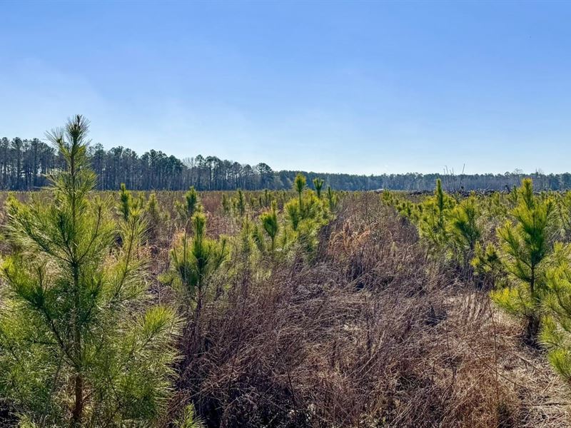 Bulloch Sands 14 : Statesboro : Bulloch County : Georgia