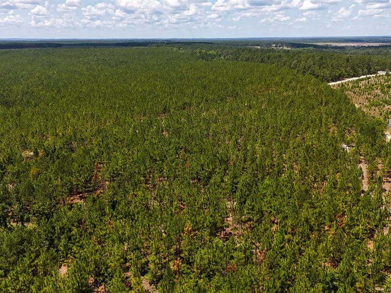 Beaverdam Road Tract : Cassatt : Kershaw County : South Carolina