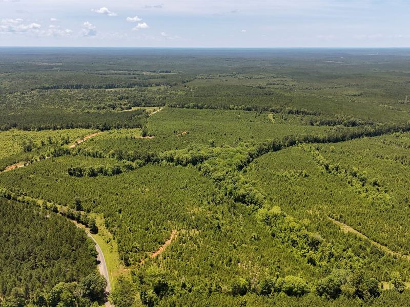 Cool Branch Road Tract : Chester : Chester County : South Carolina