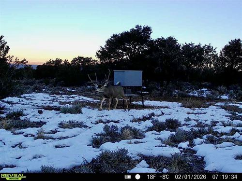 Latir Mountain Ranch : Questa : Taos County : New Mexico