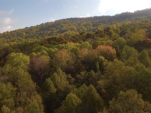 193.59 Acres in Grundy County, TN : Tracy City : Grundy County : Tennessee